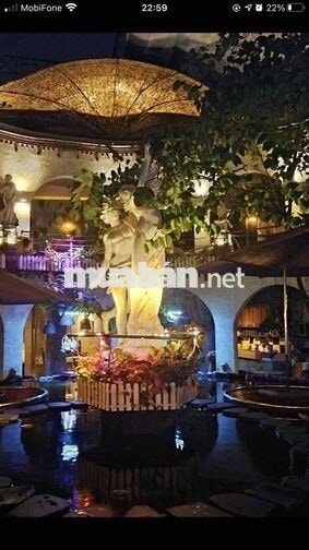 Tuyển phụ bếp Cứng Quán cf Sân vườn. 44k/k 17tr/th