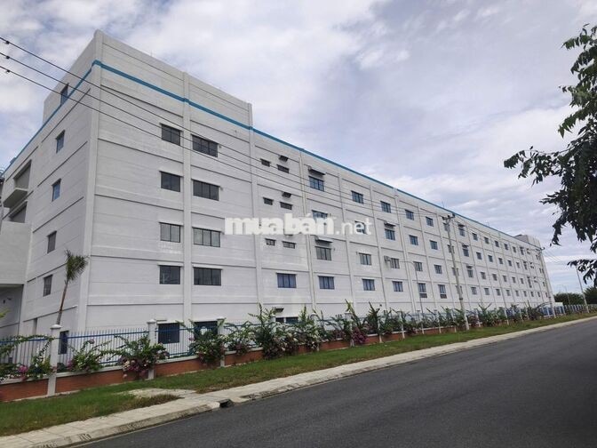 THƯỞNG NHẬN VIỆC 1.300K KHI NHẬN VIỆC TẠ GGEC