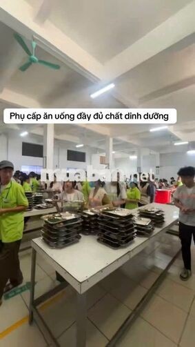  NHÂN VIÊN NISHOKU HẢI DƯƠNG