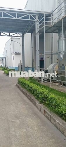  NHÂN VIÊN NISHOKU HẢI DƯƠNG