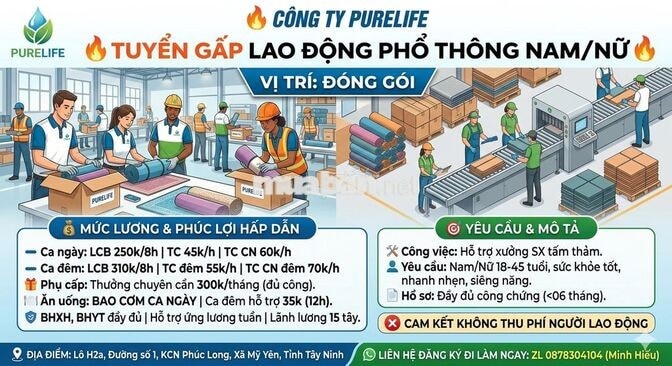 PURELIFE HOME - TUYỂN LĐPT