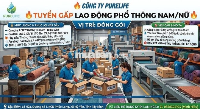 PURELIFE HOME - TUYỂN LĐPT