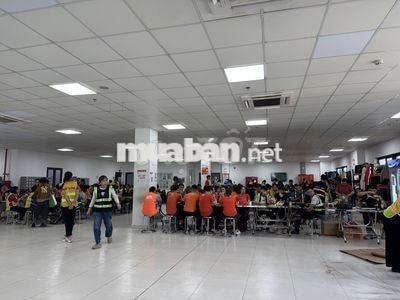 LÚA NGÀY - THỜI VỤ KHO SỌP PE XUYÊN Á 
