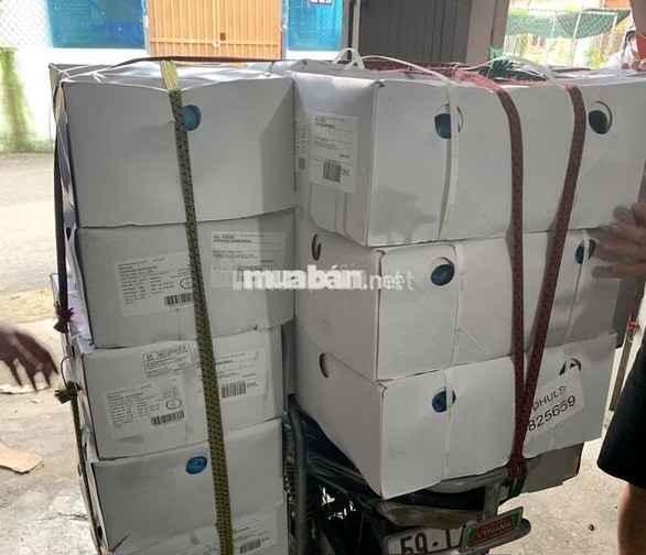 TUYỂN 1 NAM LÀM KHO + SHIP HÀNG (CHỈ TUYỂN Ở LẠI)