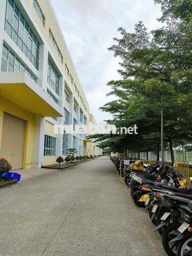 cần 100 anh chị em làm chính thức công ty điện tử
