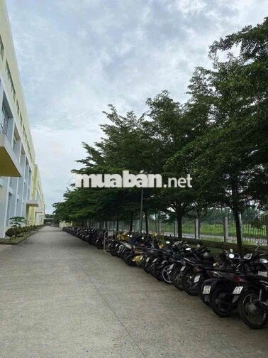 cần 100 anh chị em làm chính thức công ty điện tử