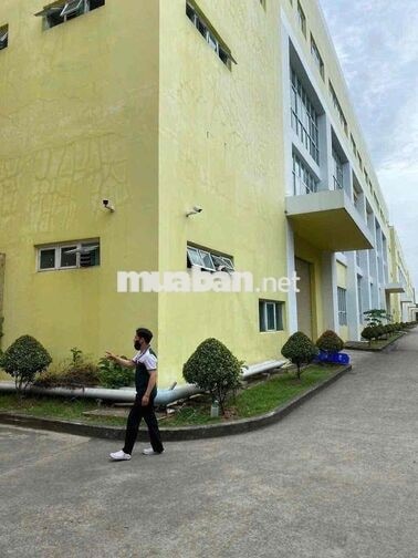 cần 100 anh chị em làm chính thức công ty điện tử