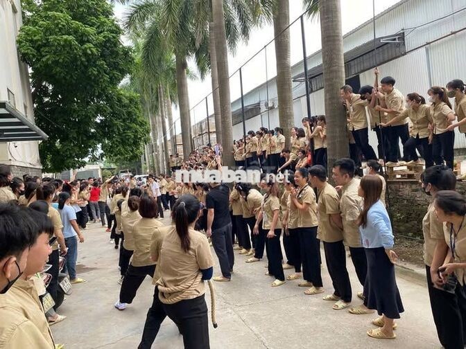 TUYỂN DỤNG NHÂN CÔNG LÀM TRANG SỨC