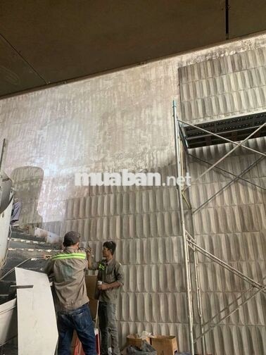 TUYỂN 5 NAM LAO ĐỘNG THỜI VỤ VÀ LÂU DÀI 18 - 35T