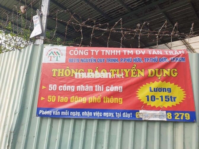 TUYỂN 5 NAM LAO ĐỘNG THỜI VỤ VÀ LÂU DÀI 18 - 35T