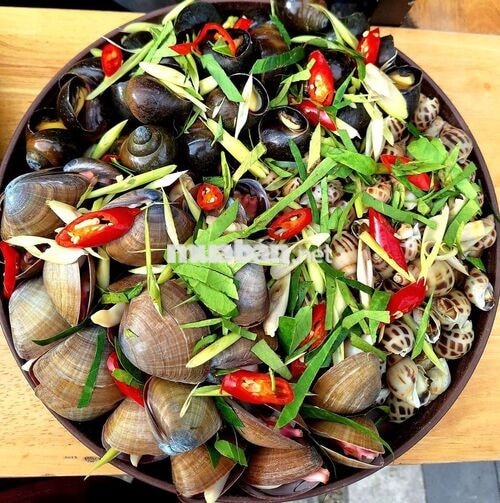 Cần Nữ Bán Hàng - Gò Vấp Nguyễn Thái Sơn