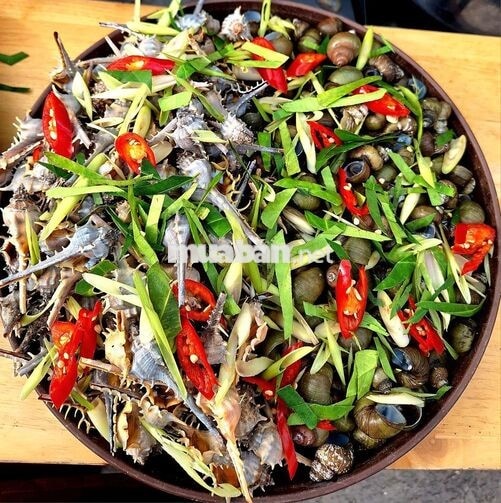 Cần Nữ Bán Hàng - Gò Vấp Nguyễn Thái Sơn
