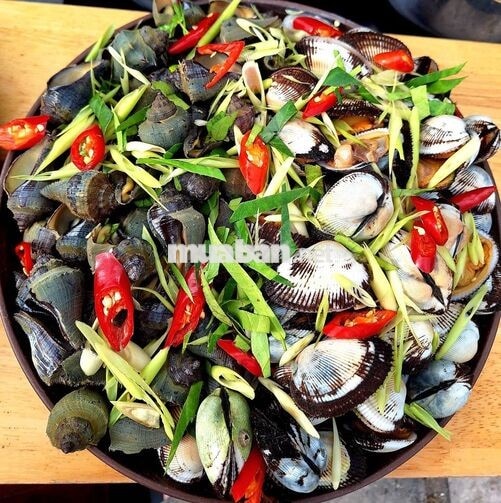 Cần Nữ Bán Hàng - Gò Vấp Nguyễn Thái Sơn