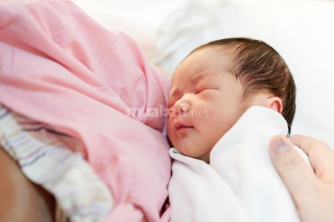 Mình Cần 1 Cô Chăm Bé 18 Tháng Ở Lại