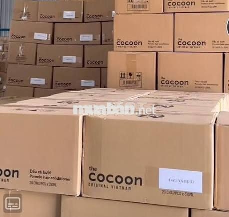 THỜI VỤ KHO COCOON KCN XUYÊN Á, ĐỨC HÒA, LONG AN