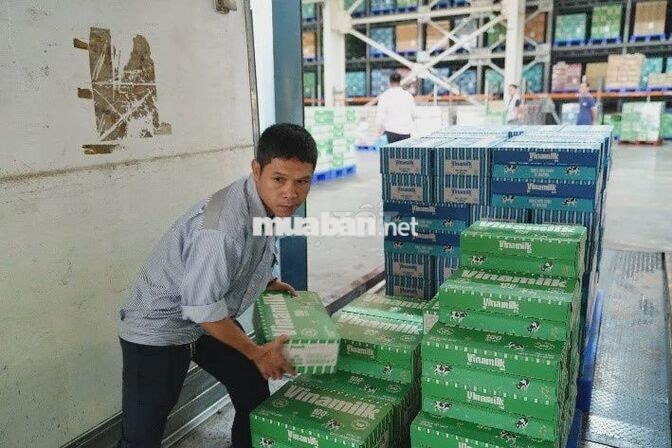 VINAMILK tuyển BỐC XẾP - HÀ NỘI