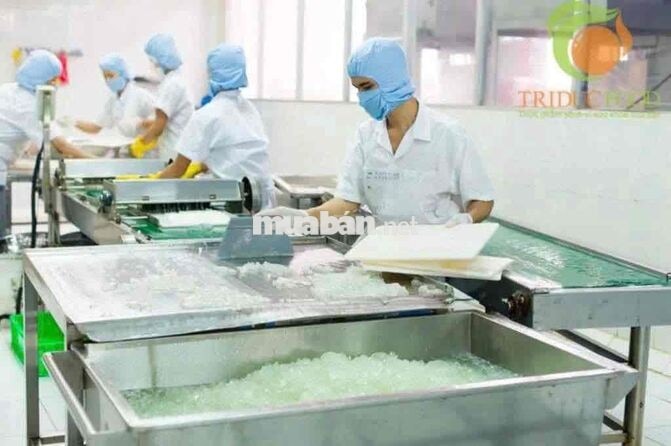 LƯƠNG TUẦN TNHH TMDV SX Trí Đức