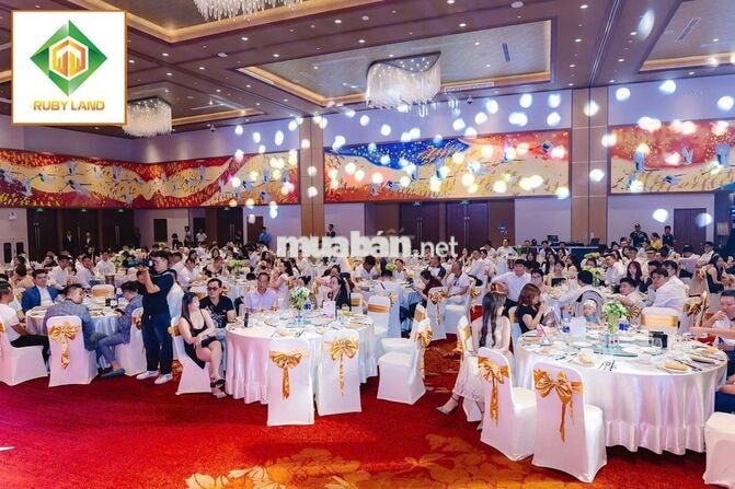 NHÂN VIÊN HÀNH CHÍNH NHÂN SỰ 
