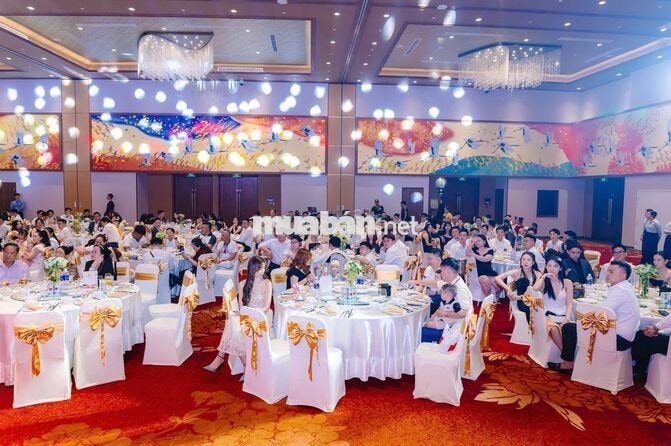 [KO CẦN KN] HÀNH CHÍNH NHÂN SỰ LCB 8-10TR/THÁNG
