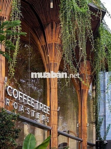 TUYỂN DỤNG BARISTA [Phỏng vấn liền – đi làm ngay]