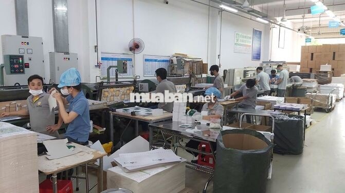 Nhân viên vận hành máy (nhận đào tạo)