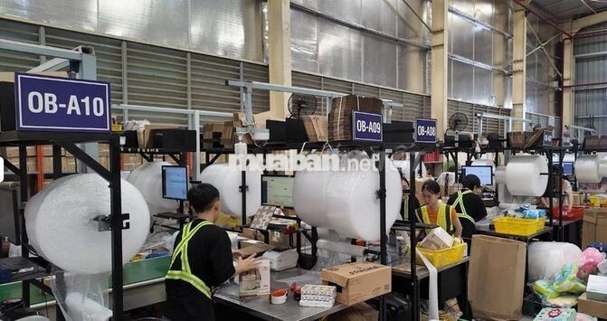 2 NỮ đóng gói đơn + 1 NAM soạn hàng phụ kho Q12✅
