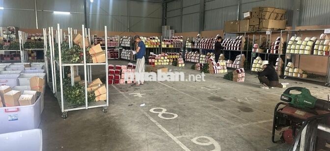 NHÂN VIÊN NAM KHO HOA - LẠC DƯƠNG BAO CHỔ Ở
