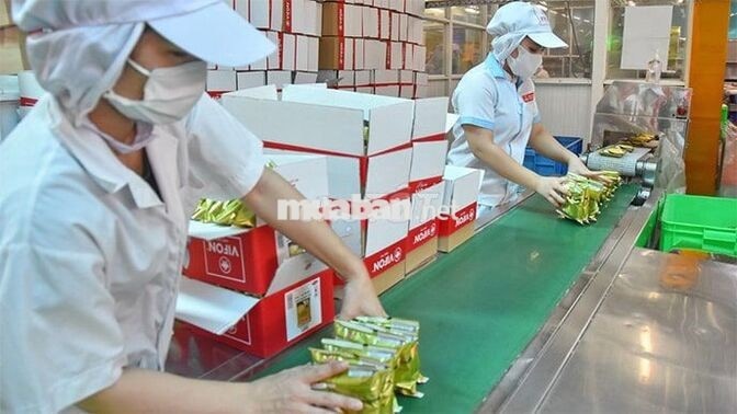 TUYỂN DỤNG NHÂN VIÊN SẢN XUẤT - CÔNG TY VIFON