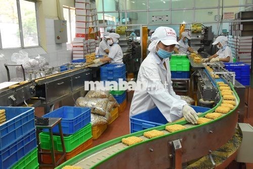 TUYỂN DỤNG NHÂN VIÊN SẢN XUẤT - CÔNG TY VIFON