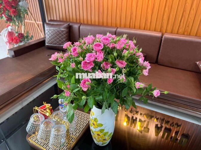 Tuyển Kế Toán Nội bộ