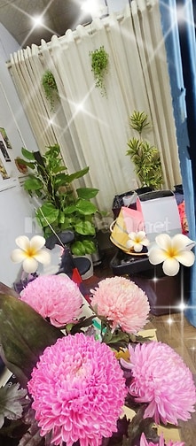 Tuyển Thợ Phụ Thời Gian Làm 11h -19h