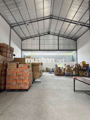 Tuyển nhân viên kế toán