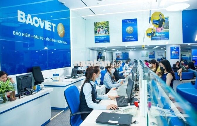 TUYỂN ỨNG VIÊN HỌC CHỨNG CHỈ BẢO HIỂM