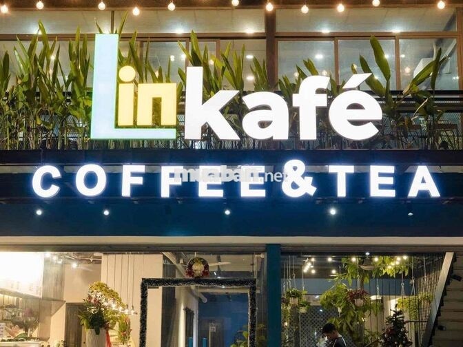 Linkafe Tuyển Dụng Phục vụ và Pha chế