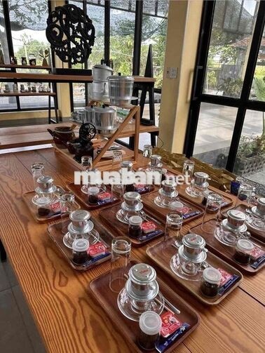 TUYỂN NHÂN VIÊN TƯ VẤN BÁN CÀ PHÊ Ở PHẠM VĂN ĐỒNG