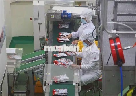 ĐÓNG GÓI HẠT NÊM - LƯƠNG TUẦN - NHẬN ĐẾN - 45