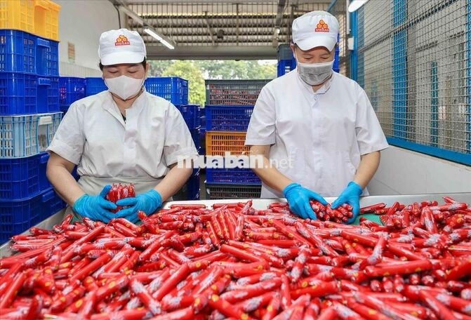 THỜI VỤ VISSAN - LƯƠNG TUẦN - BAO CƠM - THƯỞNG 2M2