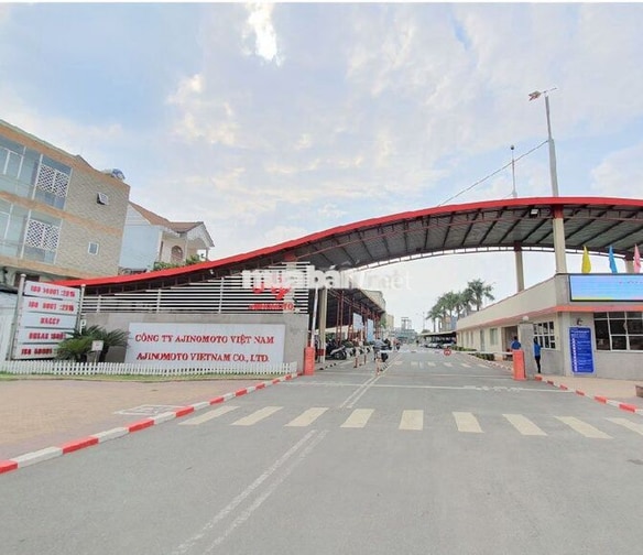 NHÂN VIÊN ĐÓNG GÓI BỘT NGỌT - AMATA - LÌ XÌ 500K