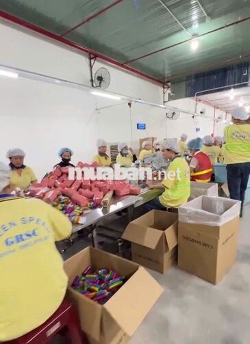 NV ĐÓNG GÓI - LƯƠNG TUẦN - BAO CƠM - NGỒI LÀM
