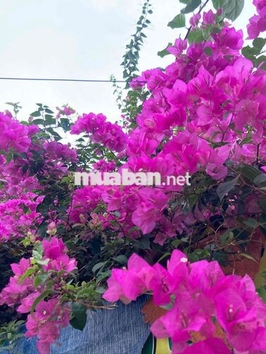 Tuyển nhân viên làm vải có kinh nghiệm