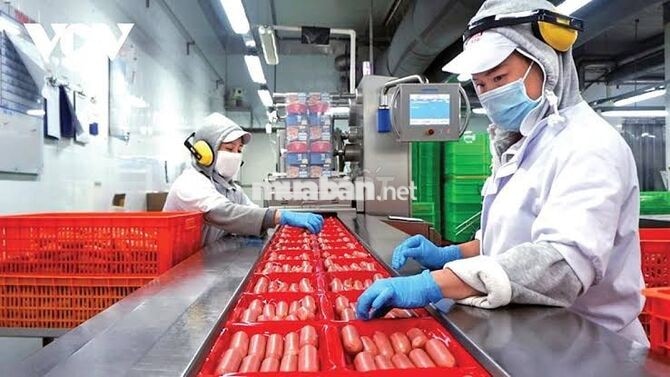 🔥THỜI VỤ_BAO CƠM_LƯƠNG TUẦN_BÌNH THẠNH🔥