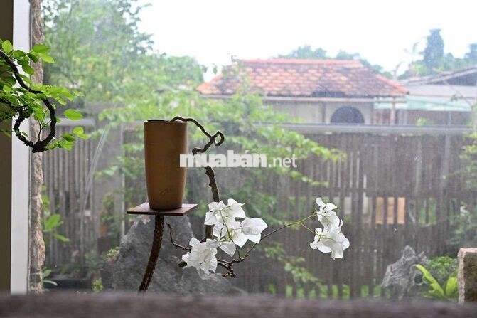 NHÂN VIÊN BÁN HÀNG BONSAI tại BD