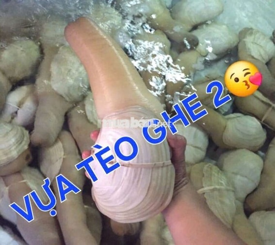 *** 3 nam giao hàng + phụ quán