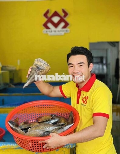 TUYỂN PHỤ BẾP - SƠ CHẾ HẢI SẢN VÀ ĐÓNG GÓI MANG ĐI