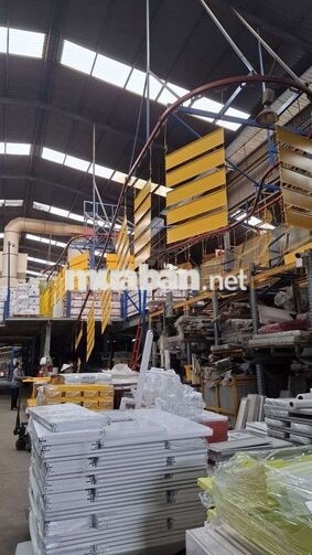 CẦN TUYỂN 3 TÀI XẾ DẤU B, 3 TÀI XẾ DẤU C