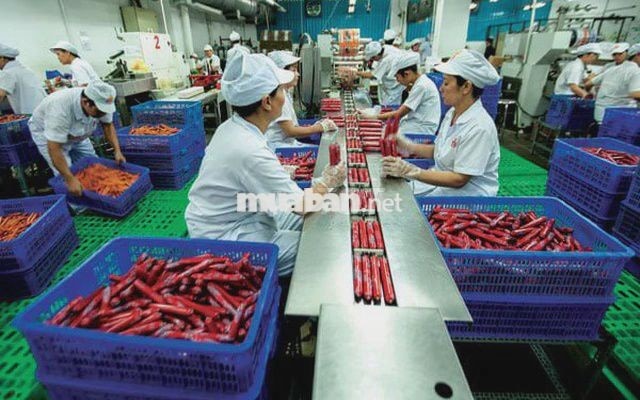 Tuyển công nhân nhà máy thực phẩm thưởng 2tr2