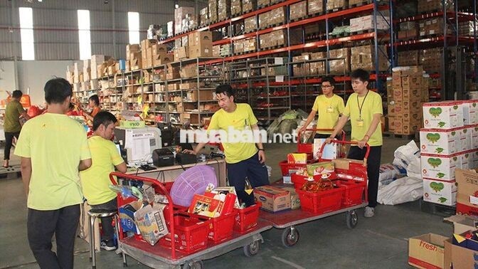 [LÀM NGAY, KO CẦN KN] NHÂN VIÊN KHO BHX QUẢNG NAM