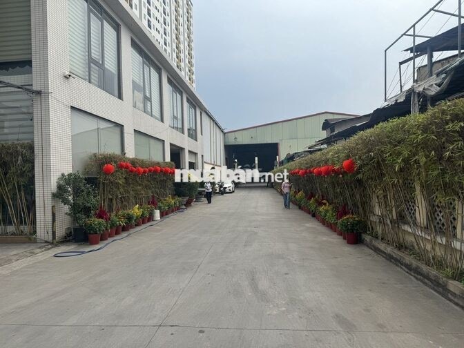 TUYỂN DỤNG 03 TÀI XẾ DẤU C1 CHỞ HÀNG BÁNH