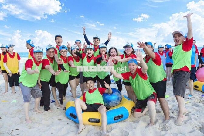 Viciland tuyển NVKD quý 4, không cần kinh nghiệm