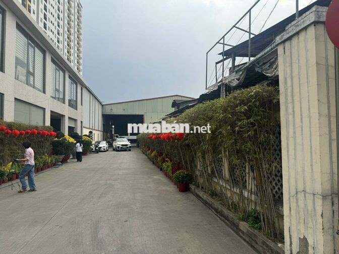 TUYỂN DỤNG 03 TÀI XẾ DẤU C1 CHỞ HÀNG BÁNH